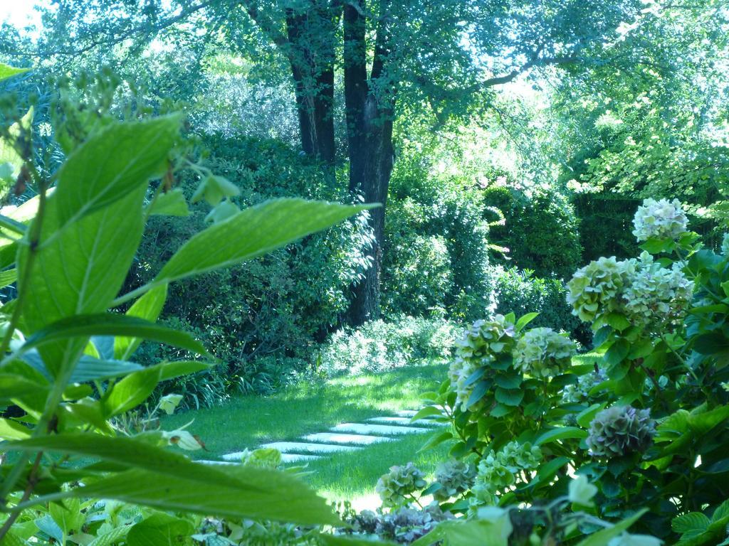 B&B Villa Dei Pini Domegliara Exteriör bild